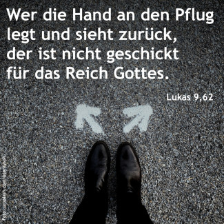 (22) Okuli – 3. Sonntag der Passionszeit (Lk 9,62) 2