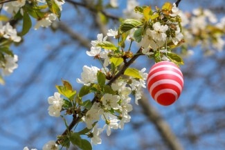 Osterei am Zweig eines Osterbaums