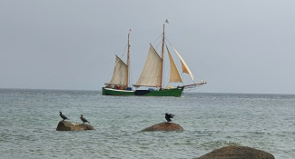 Segelschiff von links